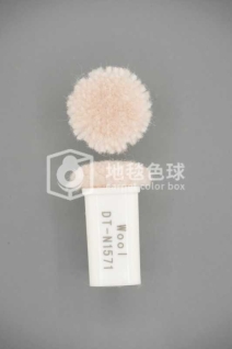 DT N1571