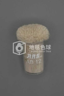 ARS AB12