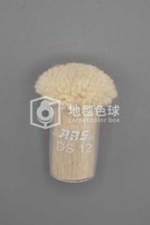 ARS DS12