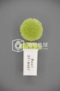 DT N497