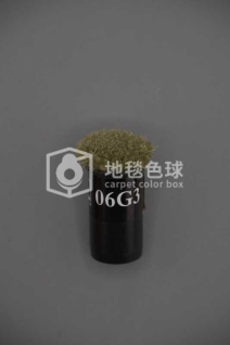 06G3