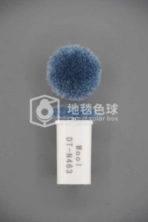 DT N463