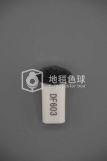DF603