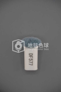 DF577