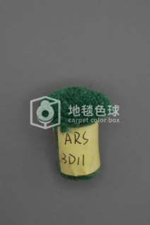 ARS 3D11
