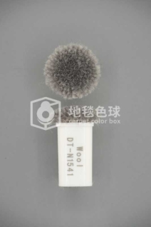DT N1541