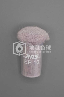 ARS EP10