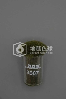 ARS 3B07