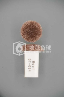 DT 034