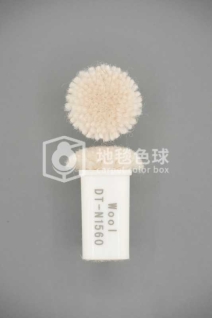 DT N1560