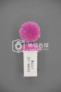 DT N845