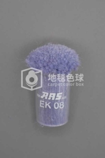 ARS EK08