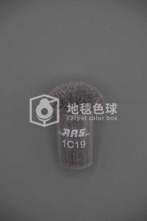 ARS 1C19