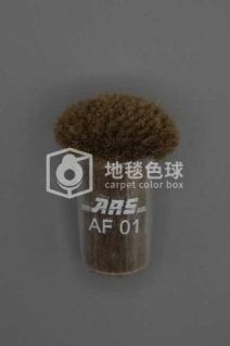 ARS AF01