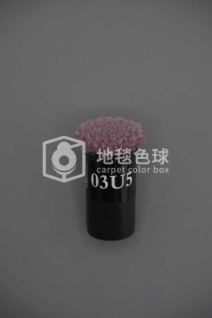 03U5