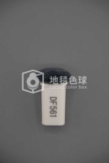 DF561