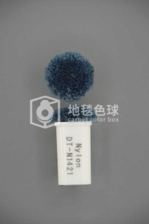 DT N1421