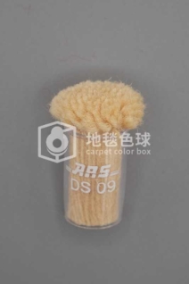 ARS DS09