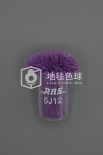 ARS 5J12