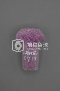 ARS 5M13