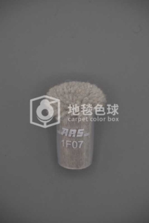 ARS 1F07