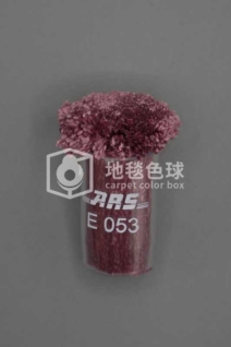 ARS E053