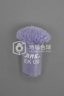 ARS EK09