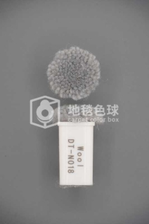 DT N018