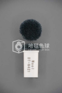 DT N421