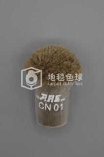 ARS CN01