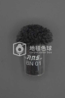 ARS BN01