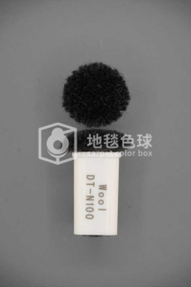DT N100