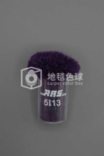 ARS 5I13