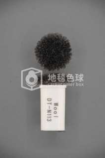 DT N113