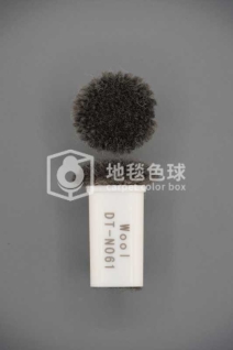 DT N061