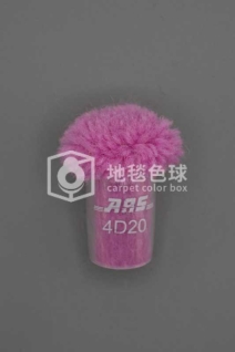ARS 4D20