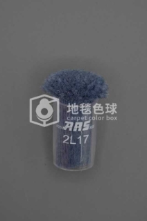 ARS 2L17
