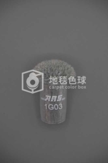 ARS 1G03