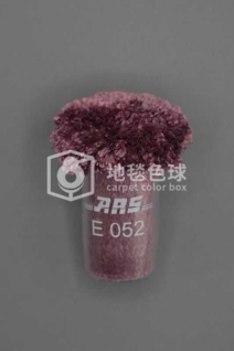 ARS E052
