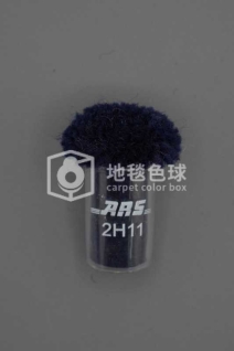 ARS 2H11