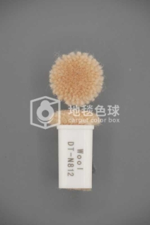 DT N812