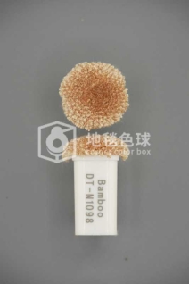 DT N1098