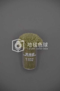 ARS 1I02