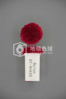 DT N1429