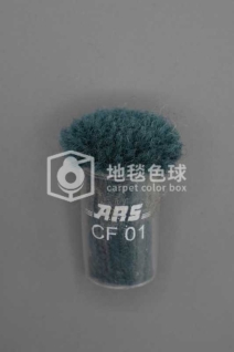ARS CF01