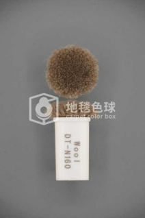 DT N160