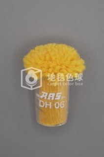 ARS DH06