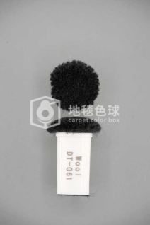 DT 061