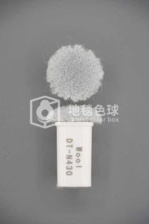 DT N430