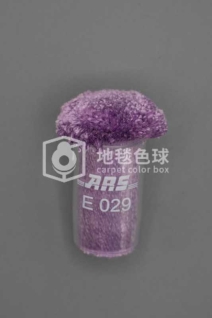 ARS E029
